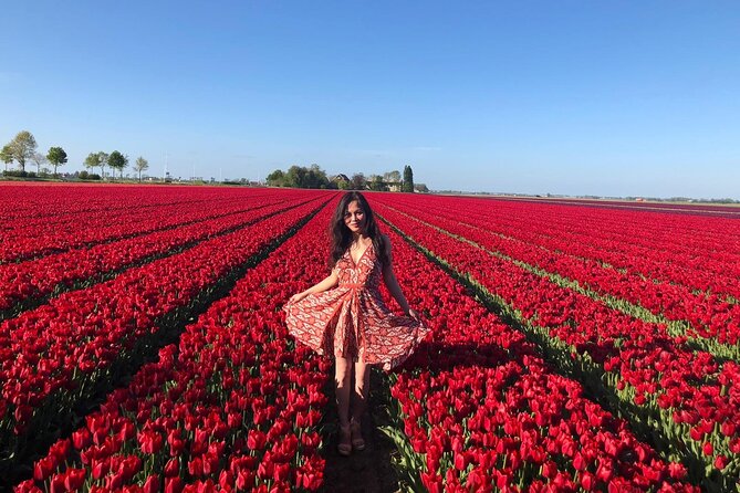 Small Group Keukenhof and Delft Guided Tour from Amsterdam - Key things I think you will care about