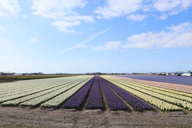 Small Group Keukenhof and Delft Guided Tour from Amsterdam - Lisse flower-bulb fields: short stop, big payoff if the season lines up