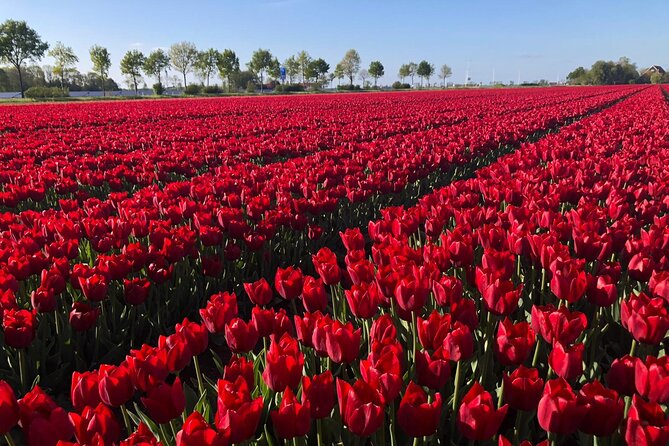 Small Group Keukenhof and Delft Guided Tour from Amsterdam - Delft Blue pottery factory demo, then a guided walk through medieval streets
