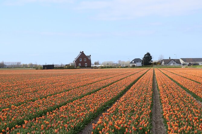 Small Group Keukenhof and Delft Guided Tour from Amsterdam - What you get for the price: $191.88 is really paying for access and structure