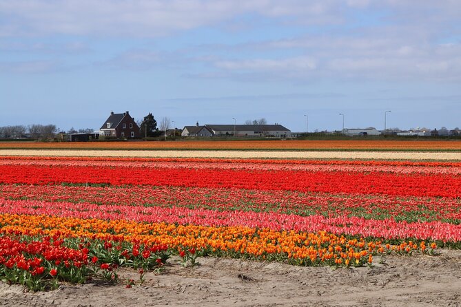 Small Group Keukenhof and Delft Guided Tour from Amsterdam - Meeting point and timing: what your day really feels like