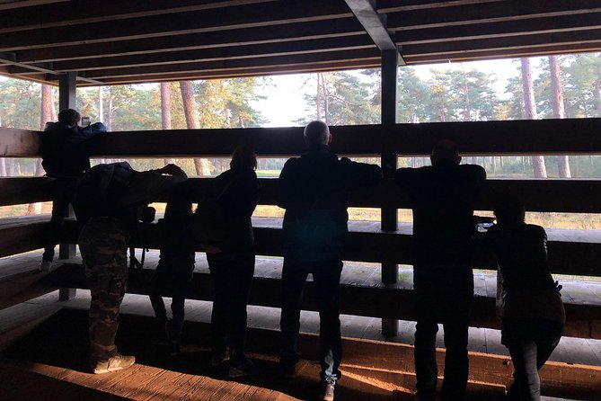 Small Group Tour to NP Hoge Veluwe (van Gogh) from Amsterdam - Small-group pacing: what up to 16 people changes for you
