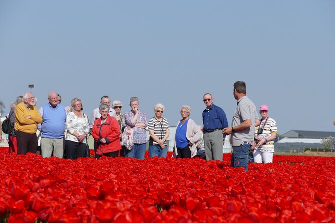 Taking Pictures in the Tulip Field at De Tulperij - Group Size, Timing, and the One Thing to Plan Around