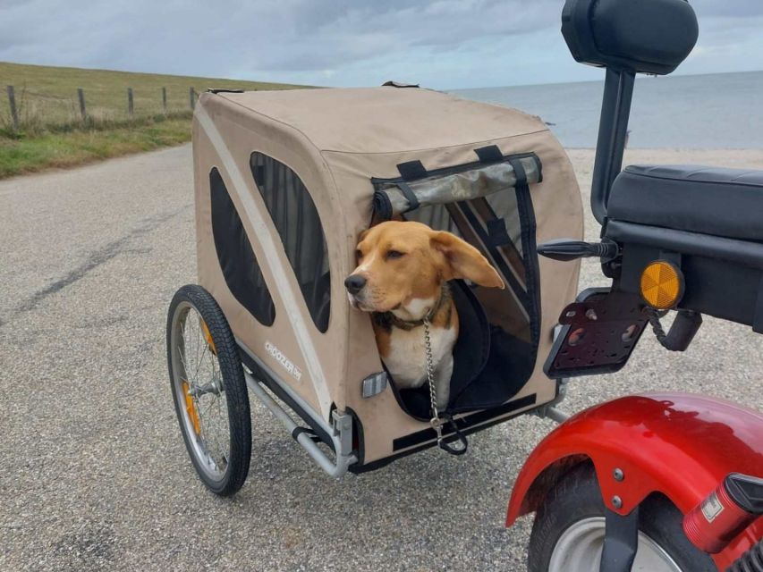 Texel: E-Scooter Rental - Getting set up: intro, controls, and the chopper-style handling