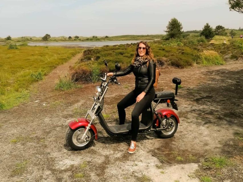 Texel: E-Scooter Rental - Heathlands and sandy plains: the open-island feel you can actually enjoy