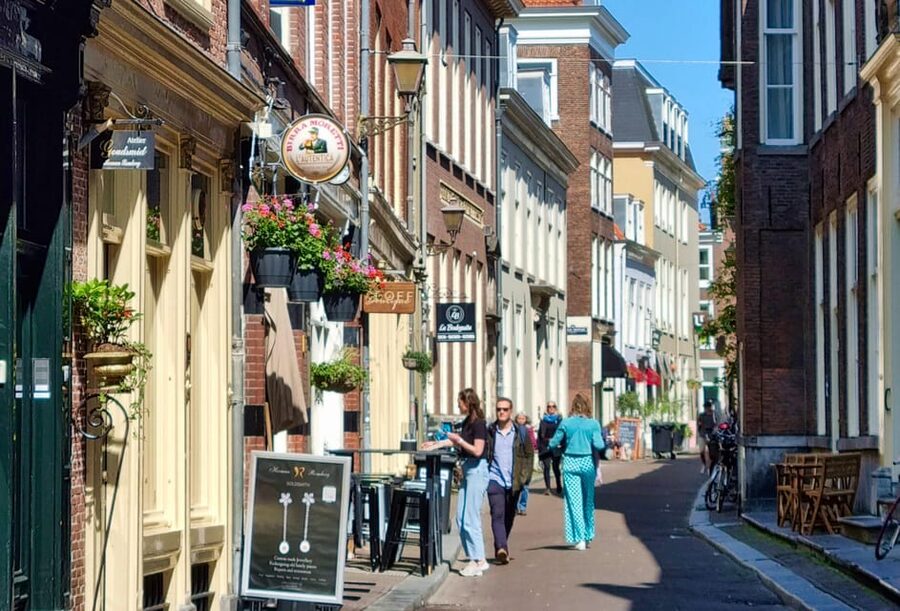 The Hague: City Walking Tour - Orange family stories and palaces still used today