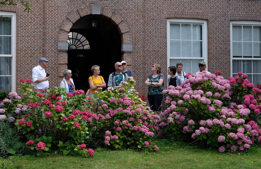 The Hague: Courtyard Walking Tour - Who this is best for in The Hague
