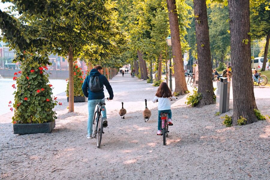 The Hague: Highlights Bike Tour - Key takeaways before you pedal off