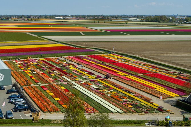 Tour to Giethoorn and Keukenhof Tulip Fields from Amsterdam - Who this tour is best for