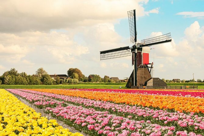 Tulip Experience and Keukenhof Flower Gardens Tour from Amsterdam - A half-day route that keeps you in the flowers, not on the clock