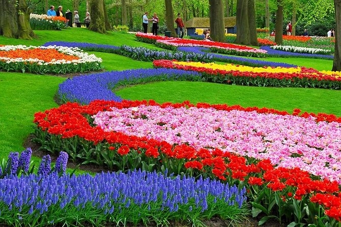 Tulip Experience and Keukenhof Flower Gardens Tour from Amsterdam - Price and value, is $382.91 worth it?