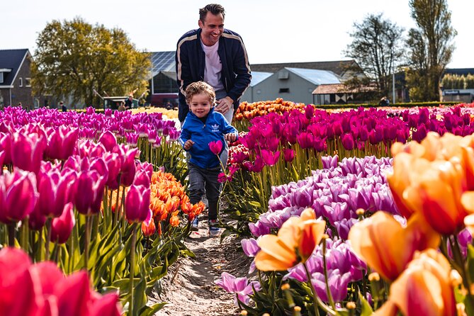 Tulip Experience and Keukenhof Flower Gardens Tour from Amsterdam - Keukenhof, skip-the-line entry plus 2.5 hours to wander