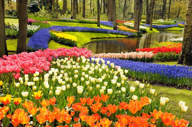 Tulip Fields near Keukenhof - Self-Drive Audio Tour for 2 People - Key things to know before you go