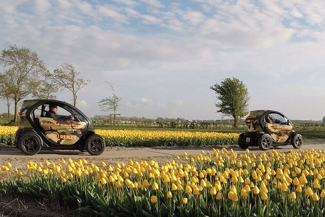Tulip Fields near Keukenhof - Self-Drive Audio Tour for 2 People - Why tulip fields near Keukenhof are best seen by car