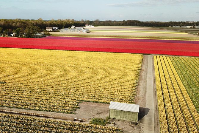 Tulip Fields near Keukenhof - Self-Drive Audio Tour for 2 People - Driving the Flower Bulb Region at your pace, off the main path