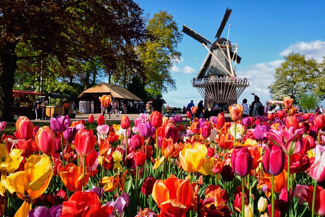 Tulip Paradise: Keukenhof Half-Day Private Tour - Private pickup and a calm plan for a short spring day