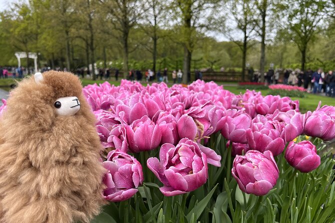 Tulip Paradise: Keukenhof Half-Day Private Tour - Why the guide-driver matters more than you think