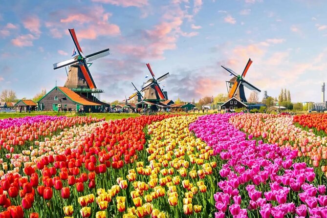 Tulip Paradise: Keukenhof Half-Day Private Tour - The Netherlands drive: windmills, photo stops, and real tulip context