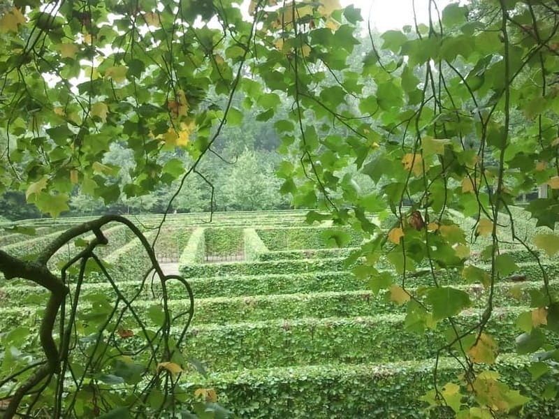 Utrecht: De Haar Castle & Park Entry Ticket - Key things you will love at De Haar Castle