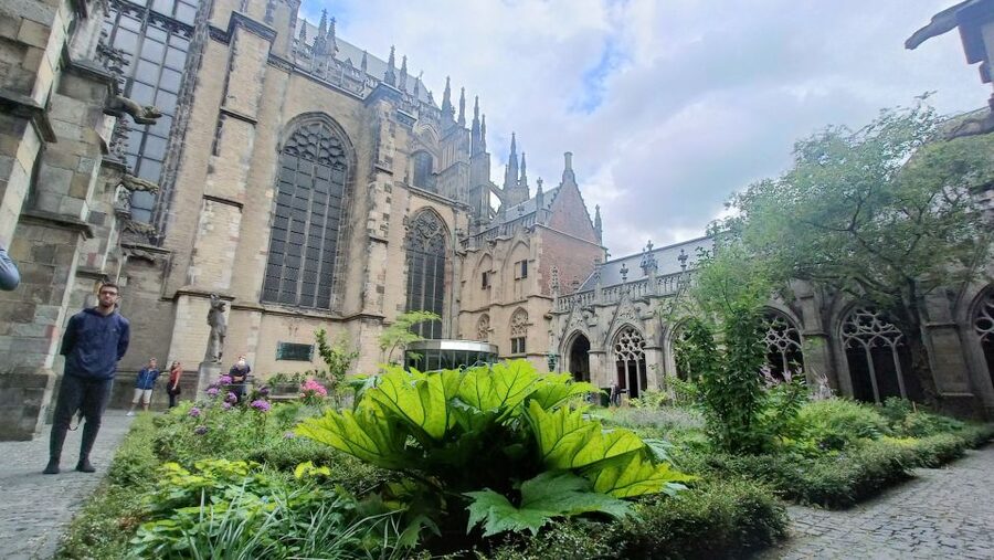 Utrecht: Guided Highlights Walking Tour - Secret stops and courtyard gardens you’d miss at street level