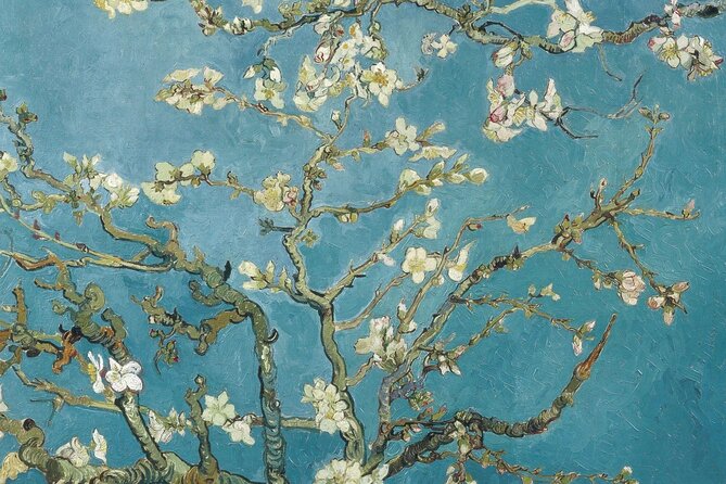 Van Gogh Museum Amsterdam Private Guided Tour With Admission - Pre-booked entry and meeting at Museumplein 6