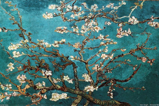 Van Gogh Museum Tour Reserved Entry Semi Private - What “admission valid all day” means for your strategy