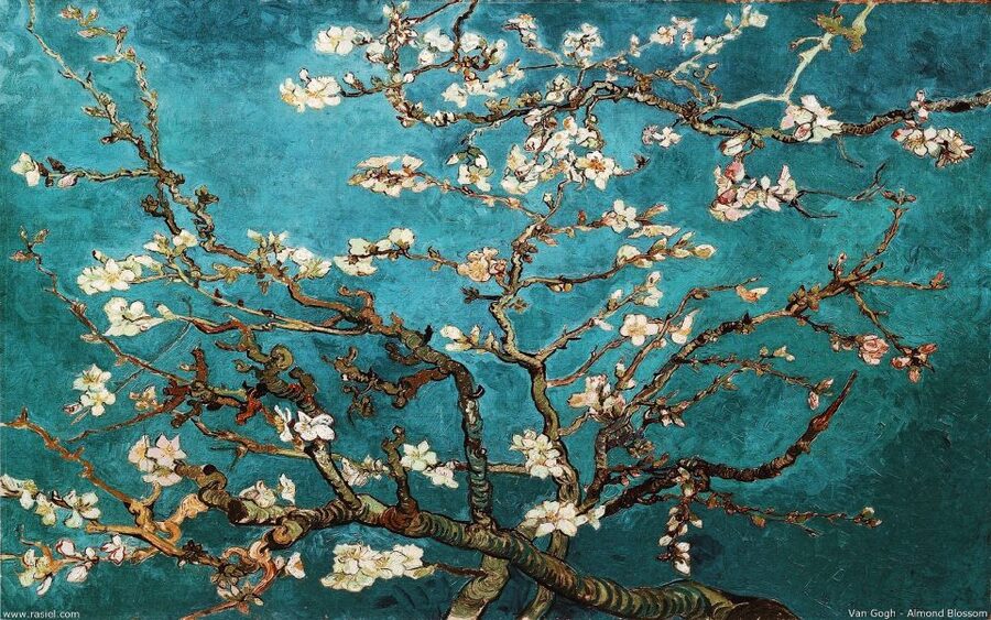 Van Gogh & Rijksmuseum Masterpieces Guided Tour 8 guests 5h - Best fit: who will enjoy this the most