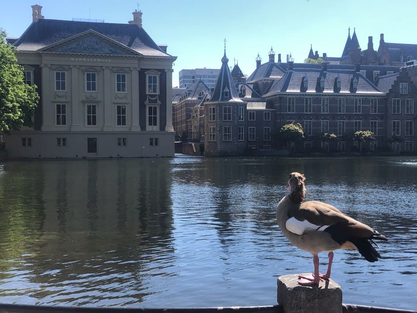 Visit the Girl with the Pearl Earring, The Hague & Delft - Who this tour suits best, and who might want to rethink