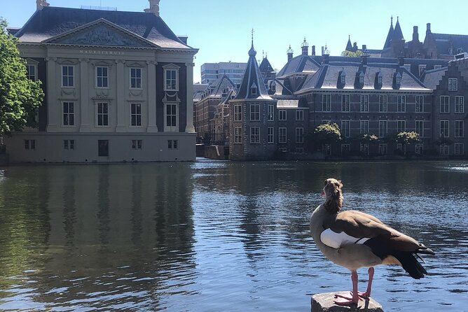 Visit the Girl with the Pearl Earring, The Hague & Delft City - The big picture route, Mauritshuis to The Hague to Delft