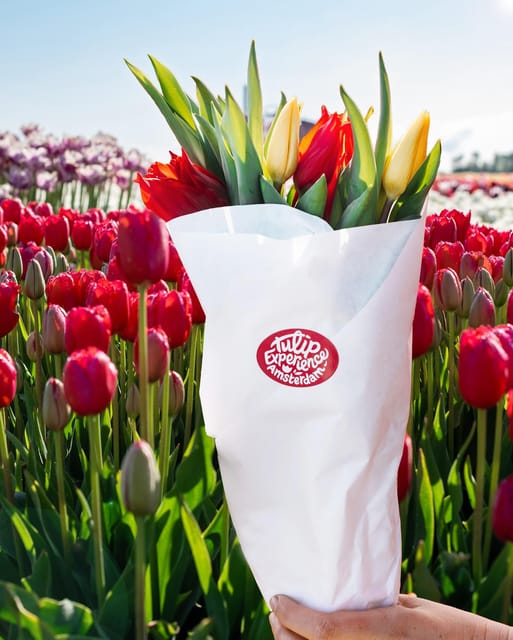 Warmond: Kagerplassen Cruise with "Tulip Experience" Ticket - Key things to know before you go