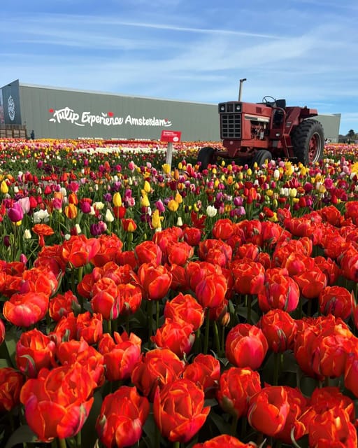 Warmond: Kagerplassen Cruise with "Tulip Experience" Ticket - A Spring Cruise on Kagerplassen, Plus Tulip Experience Admission