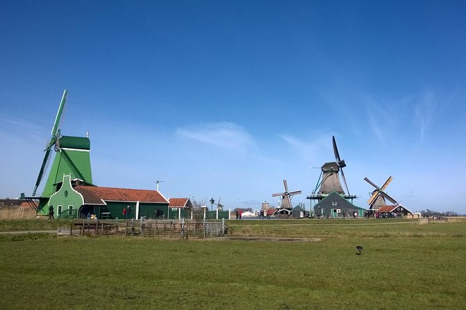Zaanse Schans and Volendam Private Tour from Amsterdam - Cheese at Jacobs Hoeve (Henri Willig): tasting made from a working farm