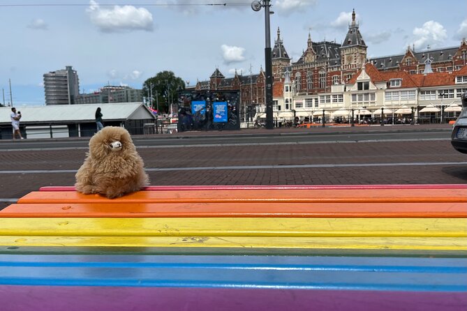 Zaanse Schans Edam Volendam Private Day Tour from Amsterdam - Pickup, ride comfort, and how the timing plays out
