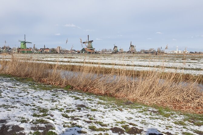 Zaanse Schans & Volendam Small-Group Tour with Hotel Pickup - What You Actually Get From a Small Group of Eight