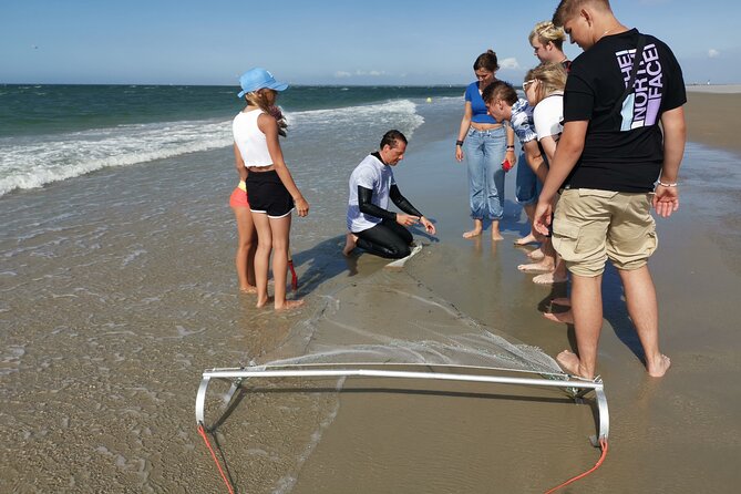 Zeeland Beach safari with Fishnet NL/DE - Zeeland Beach Safari, What You Really Do in 2 Hours